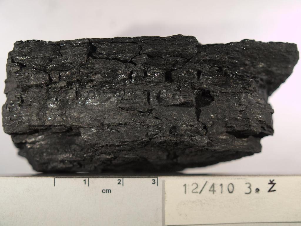 Obr. 13. Uhlí z lomu Bogatyr sloj č.3 lávka ž Uhlí z dolu Saranská je většinou celkově lesklejší vzhledem k vyššímu stupni prouhelnění a nižší popelnatosti.