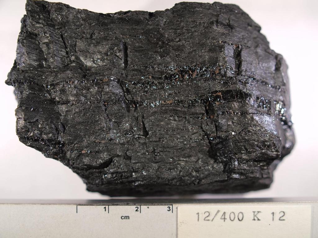 Obr. 14. Uhlí ze saranského pole karagandské pánve, důl Saranská, sloj č. K12 