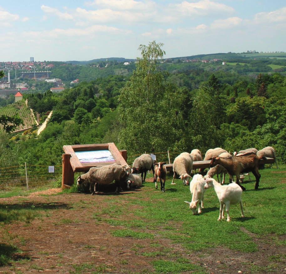 Pracovní listy pro projekt Křížem krážem Botanickou zahradou hl. m.