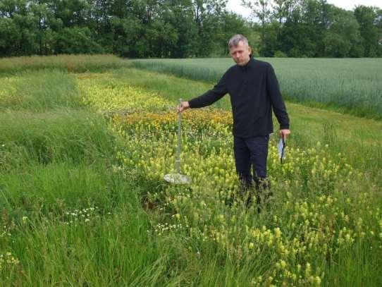 6: Experiment se živnými rostlinami