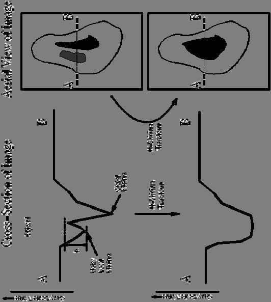 Basic Matlab commands WATERSHED