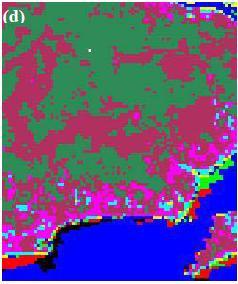 Pro lepší pochopení tohoto ne příliš známého vegetačního indexu je uvedeno srovnání z textu DASH, CURRAN, 2003.