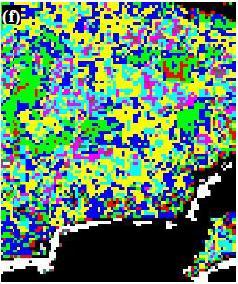 Hodnoty MTCI rozdělily pixely mnohem jemněji a s většími rozdíly neţ hodnoty NDVI. Coţ můţeme vidět na Obr.