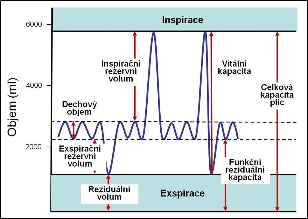 průtok-objem Spirometrie: to je pro pneumology to, co EKG pro