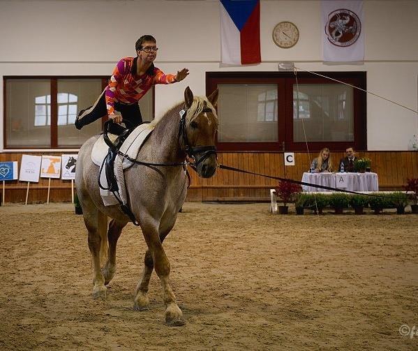 Paravoltiž Koordinátorkou sekce je Mgr. Jana Sklenaříková, Ph.D.