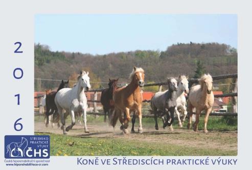Prezentace středisek Řada středisek prezentovala činnost ČHS na svých akcích, beneficích, výstavách, uskutečnila se řada