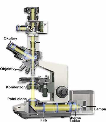 Základní pokyny pro práci s mikroskopem 1.