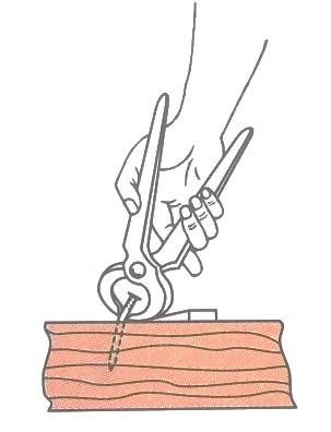 (Kričfalušijová, 1997) Obrázek 41 Typy hřebíků (Pecina, a další, 2006) Při práci s hřebíky využijeme také kladivo a kleště.
