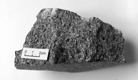Hercynite-bearing enclave petrography Although abundant occurrence of various cognate inclusions is typical for durbachitic rocks (HOLUB 1977), a hercynite-bearing enclave has not yet been discovered