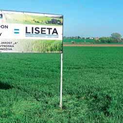 Úvod Nová odrůda ozimé pšenice Liseta byla registrována v roce 2018.