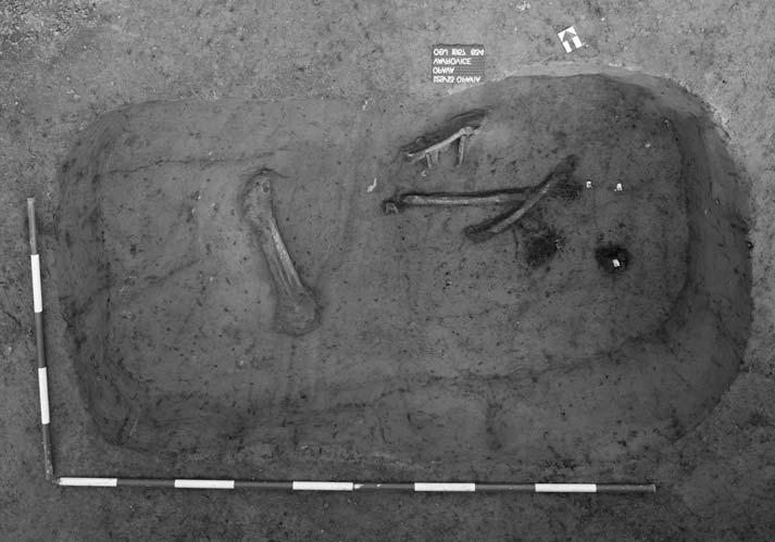 Obr. 20. Vávrovice - Krásné pole. Hrob 9 s doklady nedokončené trepanace lebky. Fotoarchiv NPÚ Ostrava. Abb. 20. Vávrovice - Krásné pole. Grab 9 mit Beweisen für eine unvollendete Schädelbohrung.