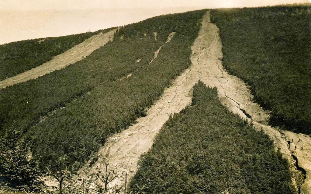 v Krkonoších nebo údolí Merty v Hrubém Jeseníku.