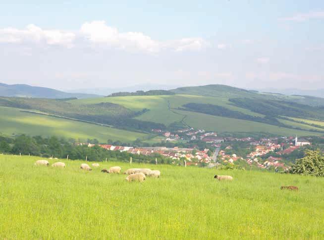 Vyhlídková věž Pod Vojanskú v katastru Bystřice pod Lopeníkem byla postavena v roce 2011 spolu s dalšími pěti identickými rozhlednami mikroregionu Východní Slovácko.