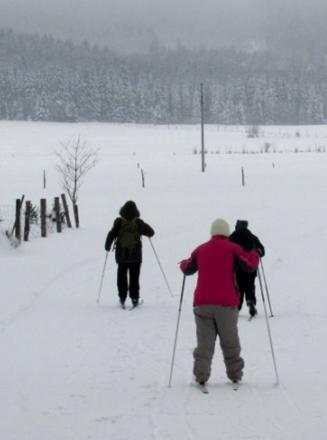 Další velké díky patří také hokejbalistům z Letohradu, kteří nám na Veterán Cupu předali ohromnou částku