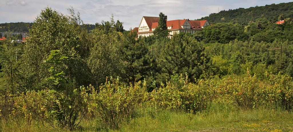 NAVRACENÍ KRAJINY PO TĚŽBĚ NOVÉ PLNOHODNOTNÉ UŽÍVÁNÍ