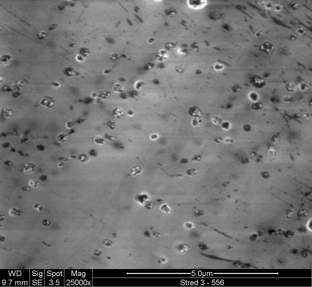 Fig. 3: Electron microscope capture of the pores and micro-cracks. Magnification 25000 x. The overall view (100x magnification) on the eggshell cross section is shown in Fig. 4.