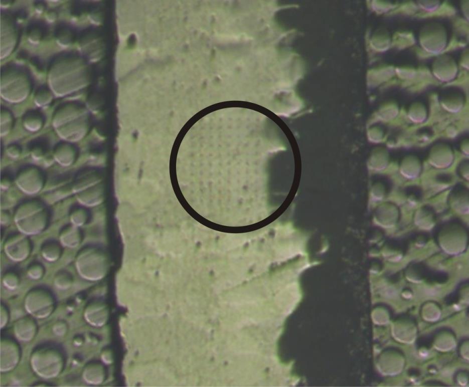 Fig 4: Eggshell cross section Fig. 5 shows a detailed view on the cross sectional surface with an indent.