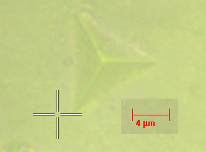 of variability when measured at different locations on the same egg (Lin et al., 1993).