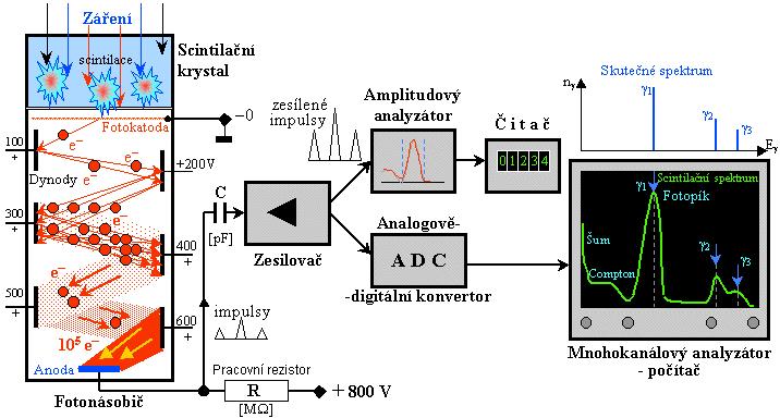 Obrázek 4: Principiální schéma scintilačního detektoru (horní větev schématu) a spektrometru (dolní větev schématu).