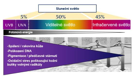 záření, které ovlivňuje DNA více než paprsky UVA a jsou jednou z příčin poškození DNA kožních buněk.