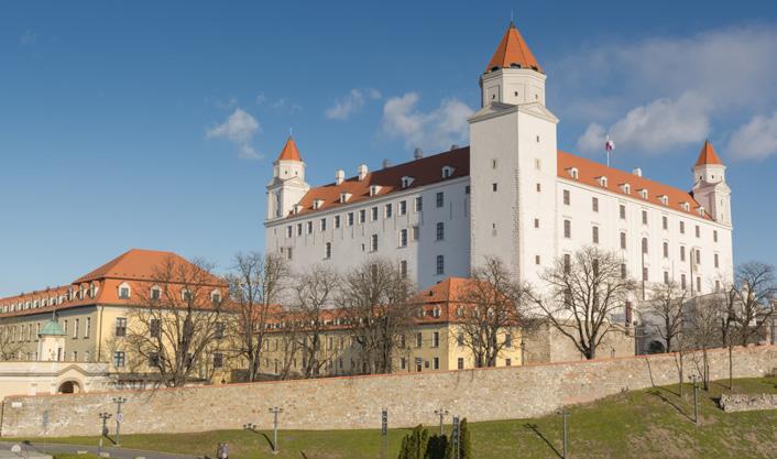 7 KONGRESOVÝ KURZ / CONGRESS COURSE ČTVRTEK 19.