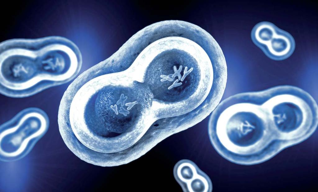 KLINICKÁ HODNOTA DIAGNOSTIKY 13. 11 Společně se šíjovým projasněním lze individuální riziko pro chromozomální aberaci dále upřesnit s využitím dalších sonografických markerů I. trimestru gestace.