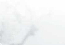 VÝROČNÍ