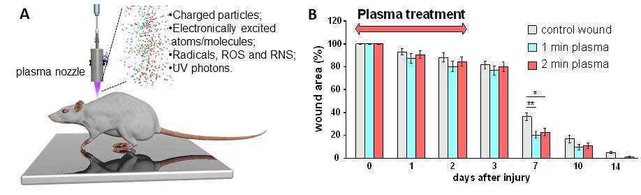 Oddělení biomateriálů a biofyzikálních metod Oddělení je zaměřeno na výzkum biomateriálů a kmenových buněk a jejich sekretomů pro regeneraci a rekonstrukci tkání a vývoj terapie zánětlivých a
