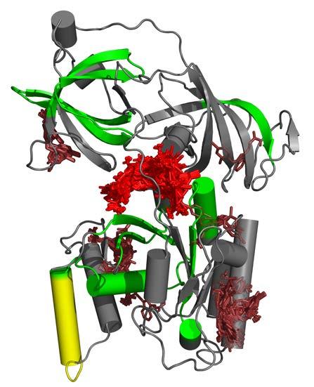 Department of Tissue Engineering We are concentrated on development of artificial tissues, mainly biodegradable scaffolds and scaffolds based on nanofibers, and computer modeling of protein