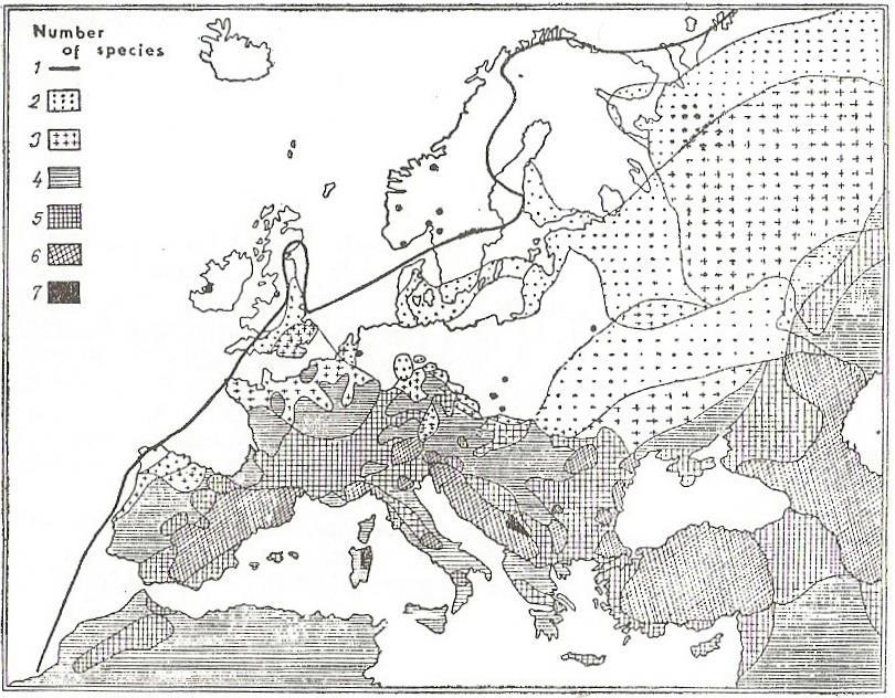 Obrázek 1. Areál rozšíření rodu Lactuca L. v Evropě. Čísla 1 až 7 označují počet druhů na daném území (FERÁKOVÁ, 1977). 3.1.5. Morfologie rodu Lactuca L.
