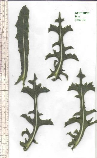 Obrázek 26.