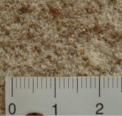 Obrázek 42 Detailní foto skeletu umělého pískovce (po lom vzorku BU) 4.7.3 Vyhodnocení Celkově je průběh vývoje pevností dobrý a směsi by bylo možné použít pro výrobu umělých pískovců.