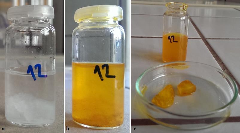 Obr. 19: a) hydrogel připravený při ph 9, b) disperzní prostředí vyměněno za pufr o ph 4 a obarveno methyloranžem, c) hydrogel obarvený methyloranžem. 5.