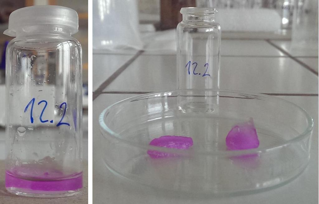 Obr. 25: Hydrogel vytvořený při ph 9 a obarven fenolftaleinem. 5.4 Difúze v odlišných podmínkách Tento experiment byl proveden na popud výsledků získaných v kapitole 5.3.