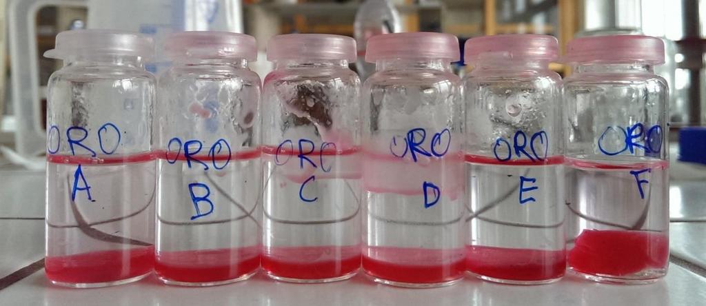 5.5 Solubilizační experiment Kromě barvení hydrogelů indikátory značící hodnotu ph prostředí a hydrogelu, byly hydrogely barveny i olejovou červení O.
