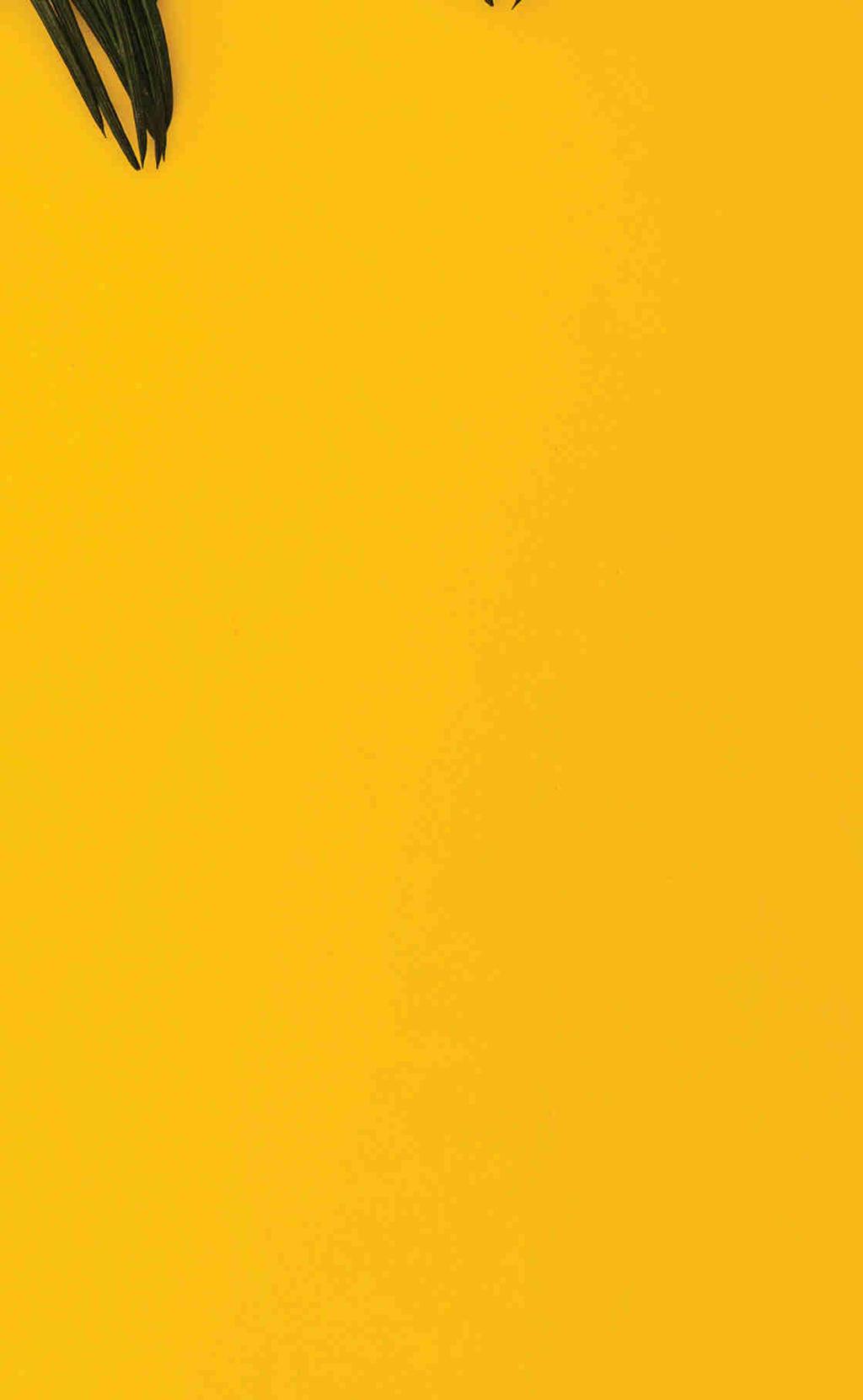oužívejte ho, prosím, přednostně v