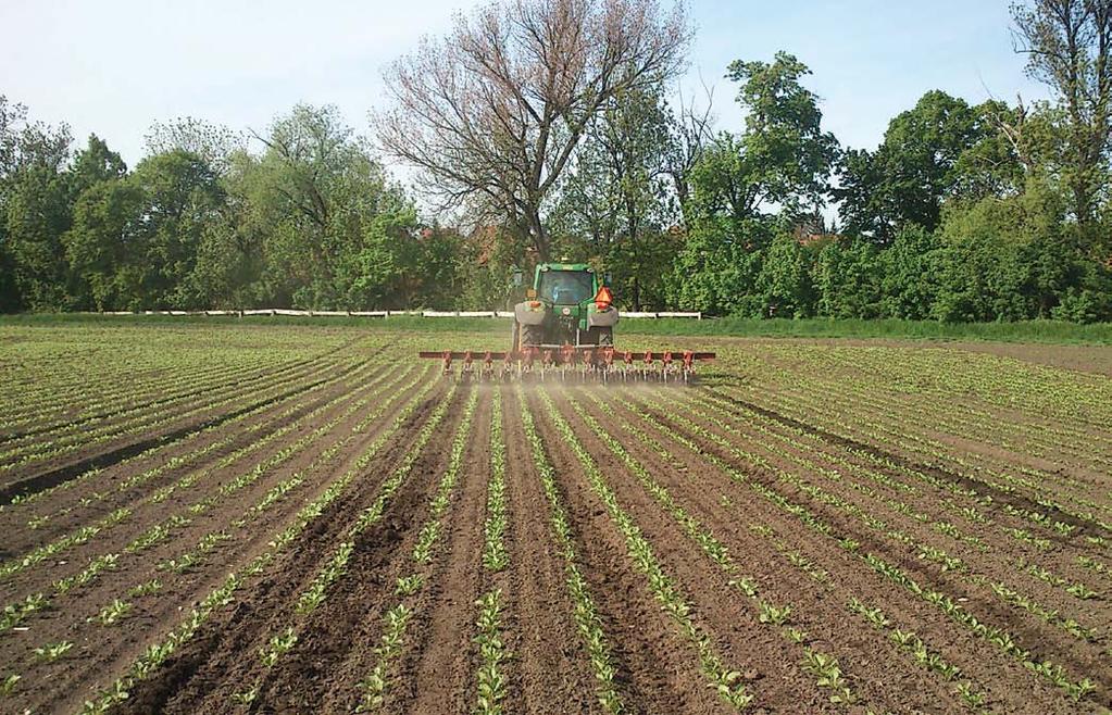 Pulkrábek, Urban, Dvořák, Bečková: Vliv kypření půdy za vegetace na erozi půdy a produkci cukrové řepy 19. Van Der Weide, R. Y. et al.: Innovation in mechanical weed control in crop rows. J.
