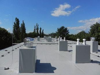 KMENOVÝCH