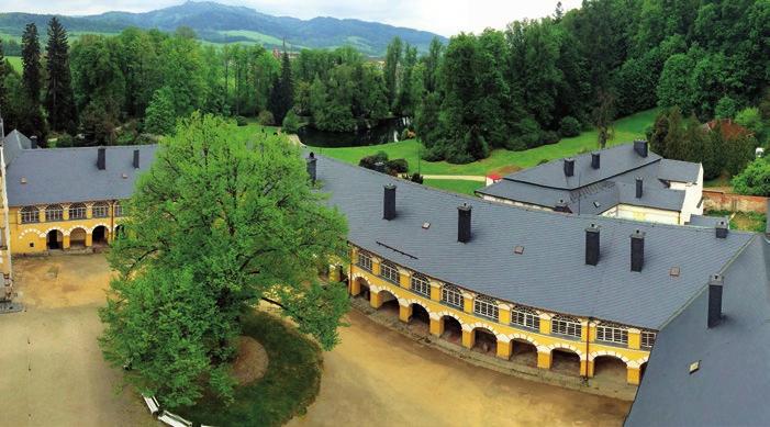 HISTORICKÉ BUDOVY Zaměřujeme se na opravy střech a fasád památkových objektů a na veškeré stavební práce spojené s opravami památek (interiéry, exteriéry), to vše za použití