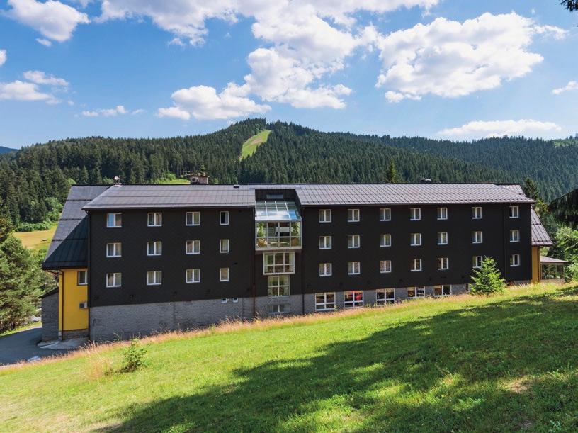 STŘECHY A STAVBY