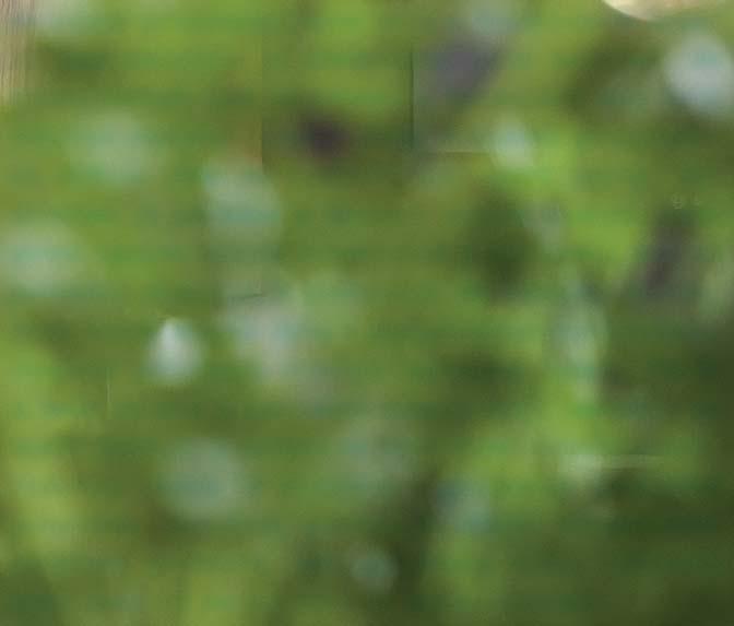 Jako první zaujme kovová konstrukce s policemi, kterou prochází digestoř a osvětlení. Na nábytek je použitá stará dubová dýha s neopakovatelnou kresbou, vzniklá recyklací starých dubových trámů.