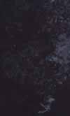 84,90 64 90 Orion