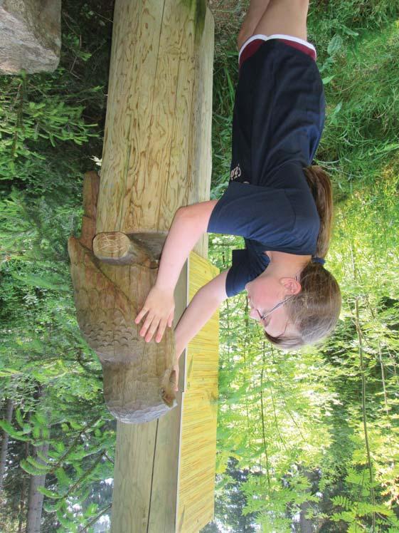 Národní park Šumava je tou nejlepší učebnou pod širým nebem www.npsumava.cz VÝUKOVÉ PROGRAMY PRO 1. 5.