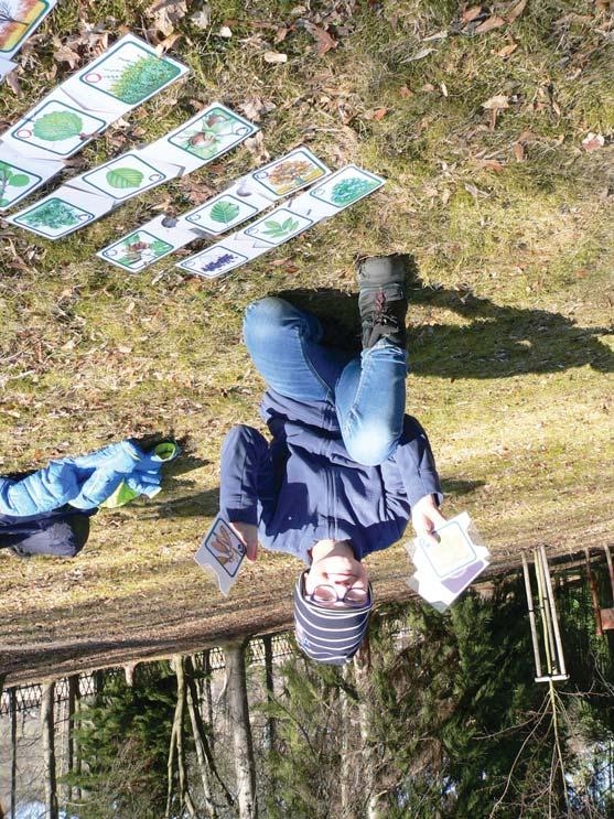 SEV NP Šumava Environmentální výchova v Národním parku a chráněné krajinné oblasti Šumava RAŠELINÍČKOVO KRÁLOVSTVÍ Venkovní i vnitřní program Kdy: venkovní: říjen, květen červen vnitřní: listopad