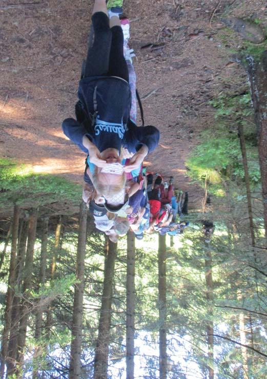 SEV NP Šumava Environmentální výchova v Národním parku a chráněné krajinné oblasti Šumava JELEN A JEHO BRATRANCI Znáte krále lesů jelena a jeho širokou rodinu?