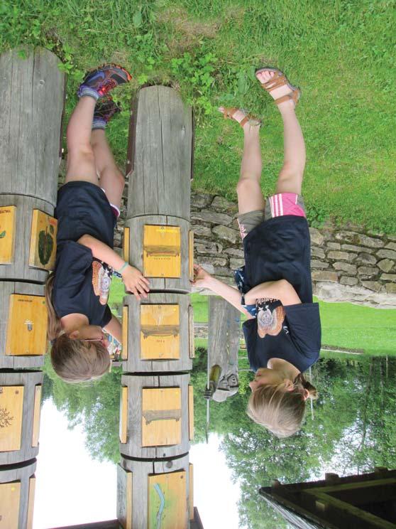 Národní park Šumava je tou nejlepší učebnou pod širým nebem www.npsumava.cz LUČNÍ VÍLA Venkovní i vnitřní program Kdy: květen červen S luční vílou nahlédneme do života rostlin i hmyzu.