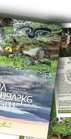 v této knize, která vám představí jedinečnost a krásu přírody Šumavy i Bavorského lesa a zároveň vás