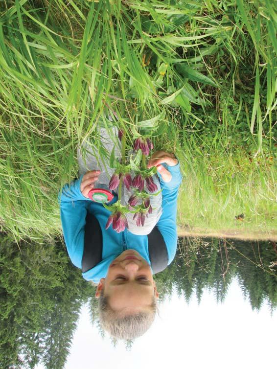 SEV NP Šumava Environmentální výchova v Národním parku a chráněné krajinné oblasti Šumava KDO VE VODĚ NEMLUVÍ Při programu se ponoříme do říše ryb a naučíme se je poznávat.