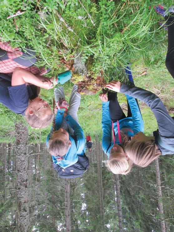 Národní park Šumava je tou nejlepší učebnou pod širým nebem www.npsumava.