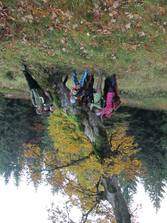 Národní park Šumava je tou nejlepší učebnou pod širým nebem www.npsumava.cz KDO ČÍHÁ NA KAŽDÉM KROKU Kdy: únor červen Délka programu: 1,5 2hodiny Kdo jsou to predátoři a jaký mají v přírodě význam?
